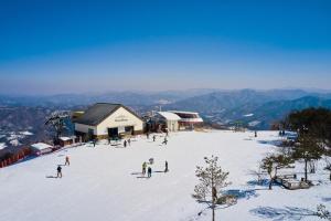 a group of people skiing on a snow covered mountain at Phoenix Hotel Pyeongchang in Pyeongchang 