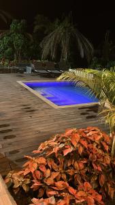 Πισίνα στο ή κοντά στο Taytacha Lodge +66 φωτογραφίες