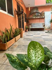 Сад в Casa Nawara