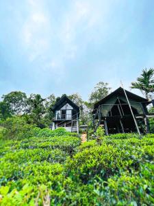 Aed väljaspool majutusasutust Show me lanka campsite & cottage