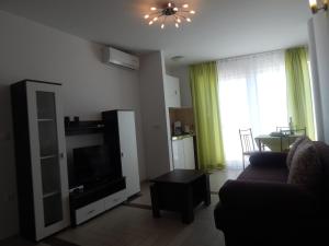 TV a/nebo společenská místnost v ubytování Apartments Sofija