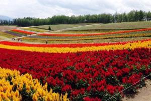 Fotografie z fotogalerie ubytování Ark City Asahikawa - Vacation STAY 8526 v destinaci Asahikawa + 31 fotografií