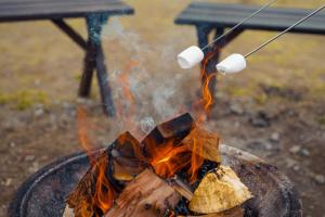 a fire pit with two marshmallows and aokin at BUB RESORT Yatsugatake in Hokuto