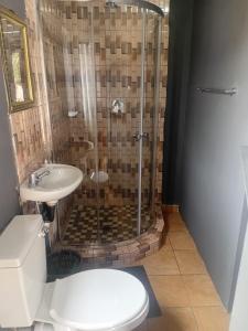 a bathroom with a shower and a toilet and a sink at Savannah Guest House Mafikeng in Mahikeng