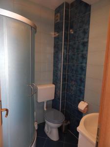 Koupelna v ubytování Apartments Sofija