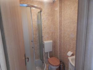 Koupelna v ubytování Apartments Sofija