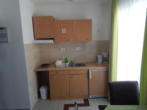 Kuchyň nebo kuchyňský kout v ubytování Apartments Sofija