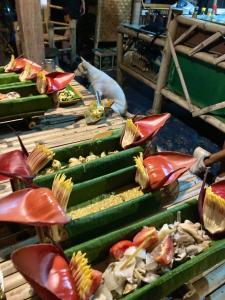 Jídlo v kempu nebo okolí