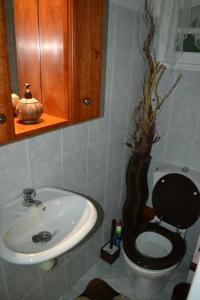 a bathroom with a toilet and a sink at La Nicotoria HAUT DE VILLA T4 in Deshaies +6 photos
