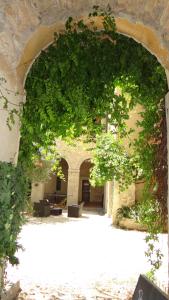 an archway in a stone building with a tree at Le Cloître des Dominicains in Buis-les-Baronnies
