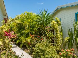 a garden with palm trees and plants next to a house at Coco Bungalows in Sainte-Rose