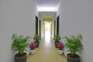 um corredor com plantas em vasos em um prédio em Hotel Mild Inn em Calangute