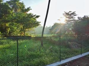 a fence with a tennis ball in the grass at CYT VILLA - Ja Ela in Ja-Ela +2 photos