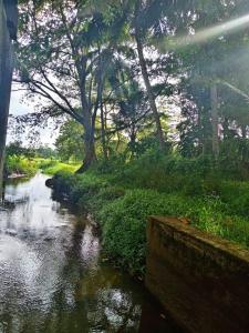a river with trees and grass next to a field at CYT VILLA - Ja Ela in Ja-Ela