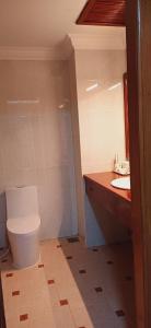 a bathroom with a toilet and a sink at Domi Hotel in Siem Reap +16 photos