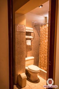 a bathroom with a toilet and a shower at Ebony Hotel in Huaraz