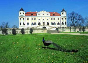 Zwierzęta w domu wakacyjnym lub w pobliżu