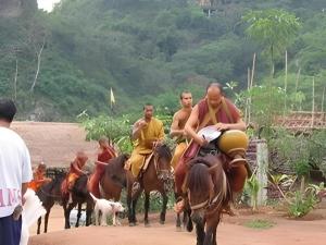 eine Gruppe von Männern reitet auf Pferden einen Feldweg entlang in der Unterkunft Pangsarapee Resort in Ban Bo Nam Khao