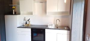 une petite cuisine avec des armoires blanches et un évier dans l'établissement House Planinka in the heart of nature, à Ljubno