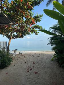 einen Strand mit einem Baum und dem Meer im Hintergrund in der Unterkunft Oceanfront Villa at Bang po Beach-Koh Rooms in Ban Bang Po