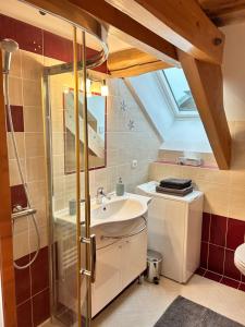 ein Badezimmer mit Waschbecken und Dusche in der Unterkunft Apartment thermale luxeuil in Abelcourt + 36 Fotos