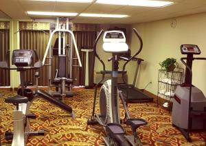 Fitness centrum a/nebo fitness zařízení v ubytování Garden Plaza Hotel