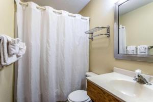 a bathroom with a white shower curtain and a sink at Econo Lodge Ithaca Airport in Lansing +187 photos