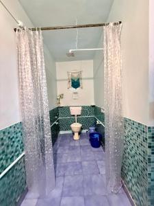 ein Badezimmer mit Toilette und Duschvorhang in der Unterkunft Endless Blue Hostel in North goa