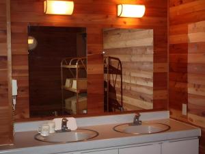 deux lavabos dans une salle de bains aux murs en bois dans l'établissement Petit Hotel Hoshi no Shizuku, à ÅŒshio 167 autres photos