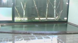 ein Aquarium in einem Zimmer mit Fenster in der Unterkunft Petit Hotel Hoshi no Shizuku in ÅŒshio