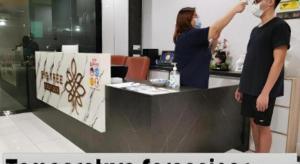 Επισκέπτες που μένουν στο Big Tree Boutique