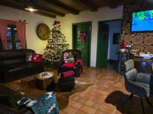 ein Wohnzimmer mit einem Weihnachtsbaum in der Ecke in der Unterkunft Kuća za odmor Bakina Divljaka in Slavonski Brod