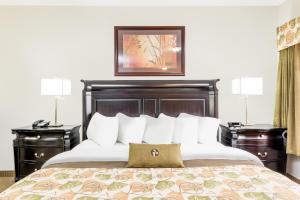 Voodi või voodid majutusasutuse Ramada by Wyndham Olds toas