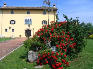 Galeriebild der Unterkunft Agriturismo Domus Magna in Povoletto