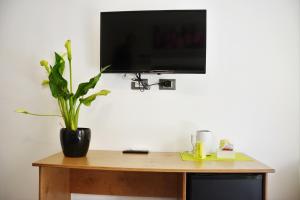 telewizor na ścianie z doniczką na stole w obiekcie Duca di Villena w mieście Palermo