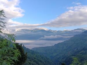 - une vue sur la vallée dans les montagnes dans l'établissement Organic styas manali, à Nagar