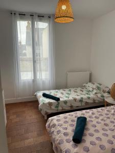 a bedroom with two beds and a chandelier at jolie maison de ville proche bords de Loire in Châteauneuf-sur-Loire