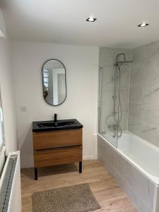 a bathroom with a sink and a shower and a mirror at jolie maison de ville proche bords de Loire in Châteauneuf-sur-Loire +4 photos