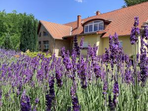 Κήπος έξω από το Apartments for Rent near Budapest