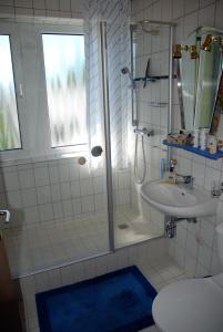 un baño con ducha y lavabo en Ferienwohnung Bergblick, en Bad Harzburg