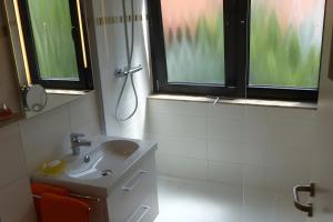 Un baño con lavabo, ducha y espejo. en Ferienwohnung Bergblick, en Bad Harzburg
