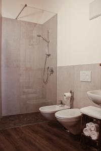 a bathroom with a shower and a toilet and a sink at SAN ROMEDIO Agriturismo in Romeno +28 photos