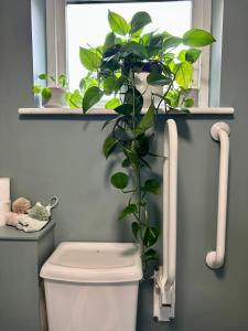 Et badeværelse på South Downs Hostel Eastbourne