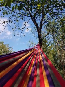 eine bunte gestreifte Hängematte unter einem Baum in der Unterkunft Ferienhaus für 4 Personen ca 65 qm in Brod Moravice, Gespanschaft Primorje-Gorski Gorski kotar in Brod Moravice