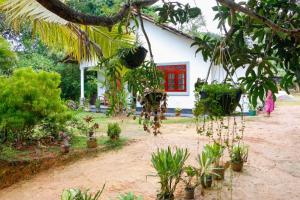 ein Garten vor einem Haus mit Pflanzen in der Unterkunft Mountain Breeze Inn Midigama in Midigama East