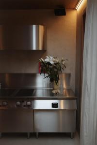 Kuchyň nebo kuchyňský kout v ubytování number nine house