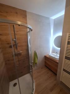 a bathroom with a shower and a sink at Apartmán Černý Důl in Cerny Dul +7 photos