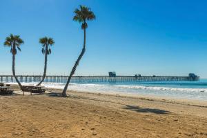 twee palmbomen op een strand met een pier bij 5N-31 Beach View BBQ & Jacuzzi in Oceanside