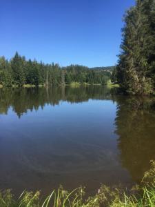 Blick auf einen See mit Bäumen im Hintergrund in der Unterkunft Ferienwohnung in Frauenberg mit Garten in Haidmühle