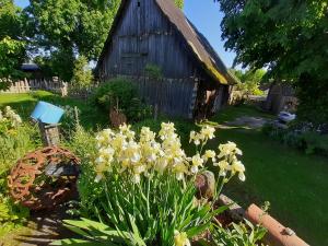 Zahrada ubytování Ferienhaus Jutta